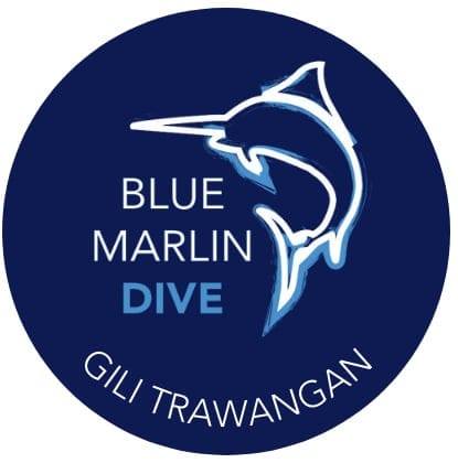 Blue Marlin Dive Logo